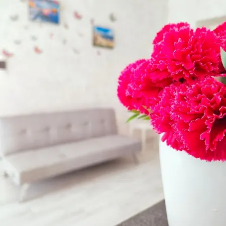 B&bcasami ベッド・アンド・ブレックファスト ボスコレアーレ